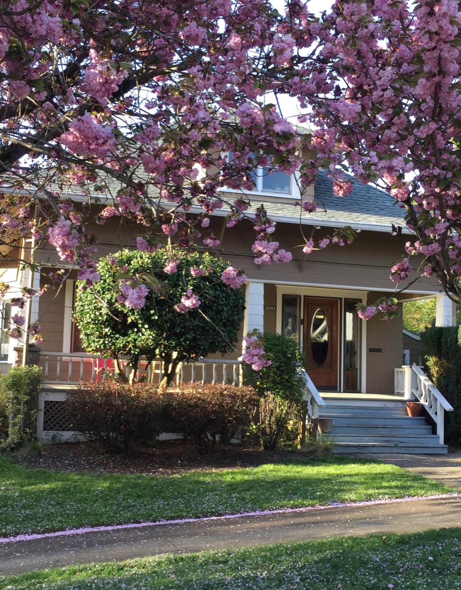 Southeast Portland Comfy & Eclectic Craftsman Home 외부 사진
