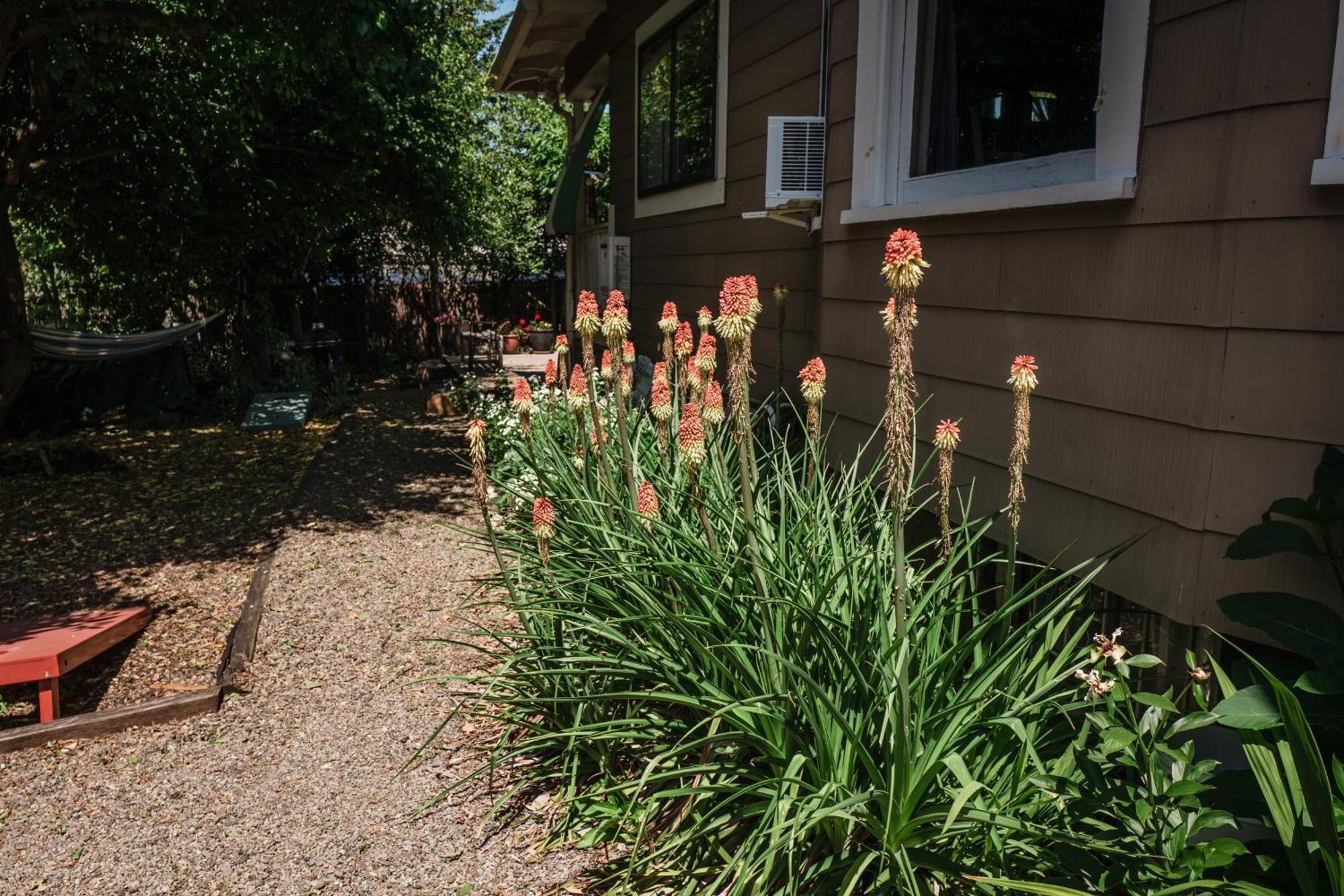 Southeast Portland Comfy & Eclectic Craftsman Home 외부 사진